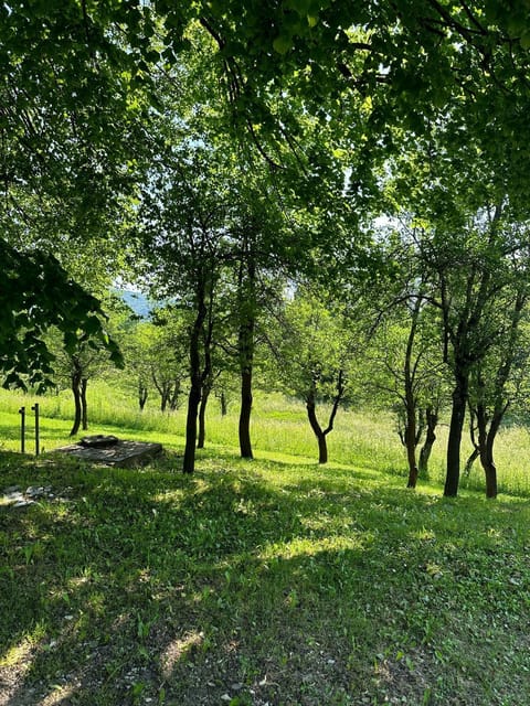 Spring, Day, Natural landscape, Garden view