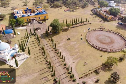 Natural landscape, Children play ground, Garden, Garden view