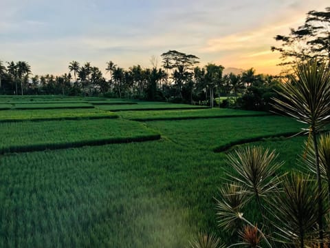 Puri Ananda Villa in Sukawati