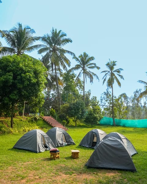 Bana The Wild Waters Resort in Bengaluru