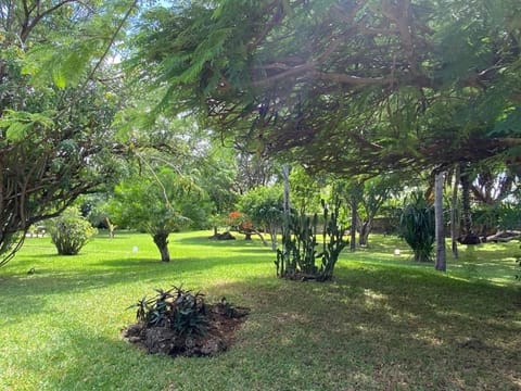 Urembo villa casaurina Villa in Malindi