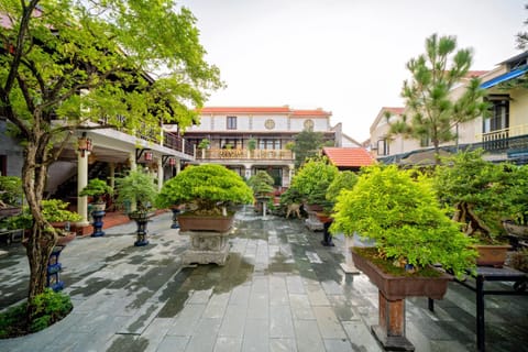 Property building, Day, Neighbourhood, Garden, Garden view