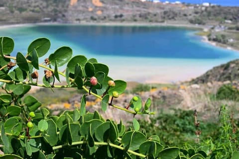 Villa Donna Elena House in Pantelleria