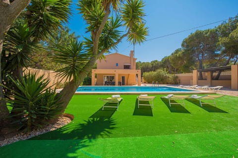 Patio, Garden, Garden view