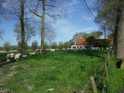 View (from property/room), Area and facilities