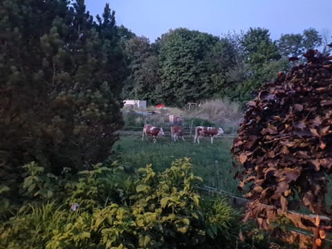 Alpenblick Pang Eigentumswohnung in Rosenheim