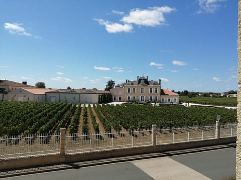 View (from property/room), Street view