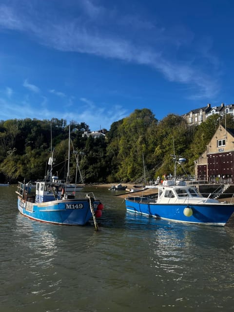 Efail Fach Haus in New Quay