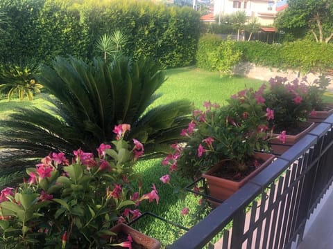 Garden, Balcony/Terrace