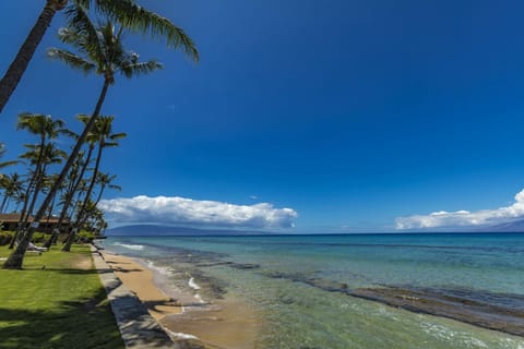 Paki Maui #103 condo Condo in Kaanapali