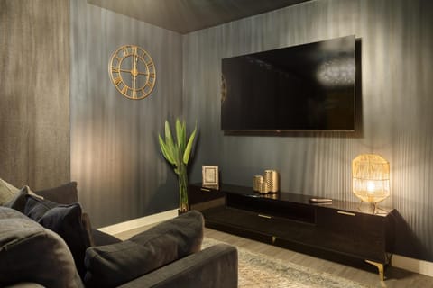 TV and multimedia, Living room, Other, Decorative detail, Seating area, internet, acessibility