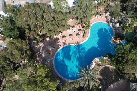 Bird's eye view, Garden, Swimming pool