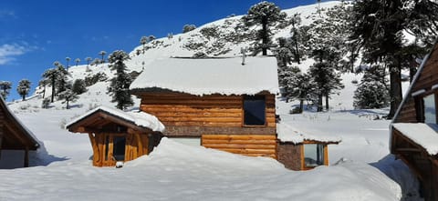 Property building, Winter, Mountain view