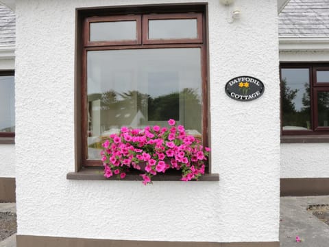 Daffodil Cottage House in County Sligo