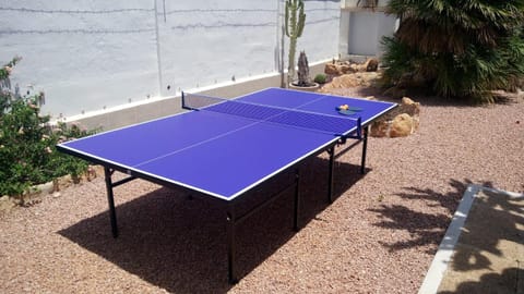 Garden, Table tennis, Sports