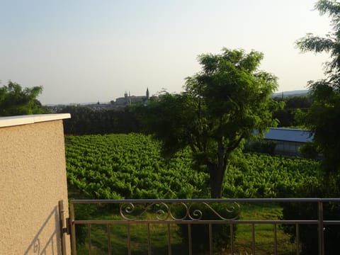 gite la bonnelle piscine spa House in Grignan