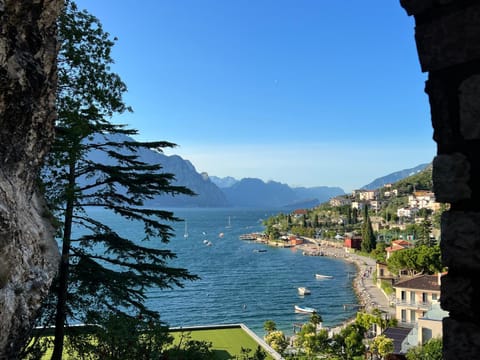 Lake view
