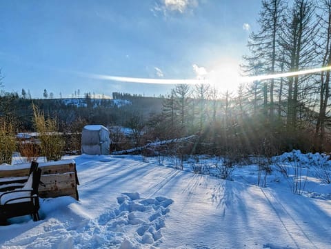 Natural landscape, Winter