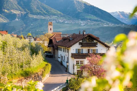 Weingut Pardellerhof Soggiorno in fattoria in Merano