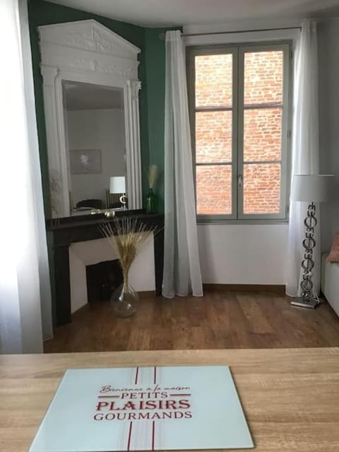 Hypercentre (avec parking), rare avec 3 chambres 3 salles d’eau Apartment in Albi