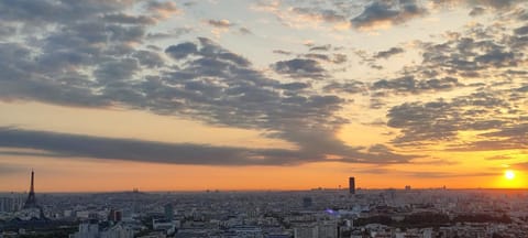 Full apt - Top floor - Eiffel Tower Panoramic View Condo in Issy-les-Moulineaux