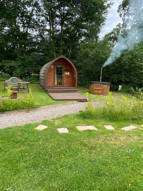 Property building, Garden, Garden view