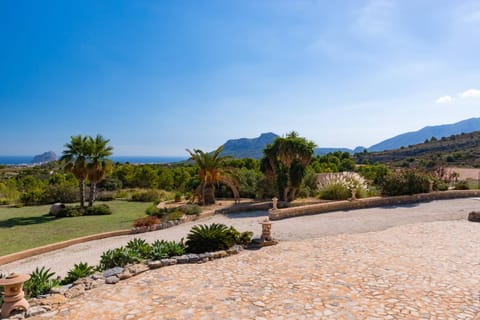 Patio, Garden, Garden view