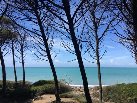 Spring, Beach