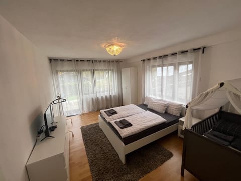 Stilvolles Apartment nahe Therme und PreZero Arena Apartment in Sinsheim