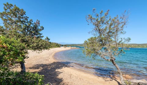 Natural landscape, Beach