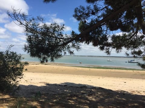 Piscine chauffée plage et Forêt à 100 m aucun vis à vis Casa de campo (Villa) in Saint-Trojan-les-Bains