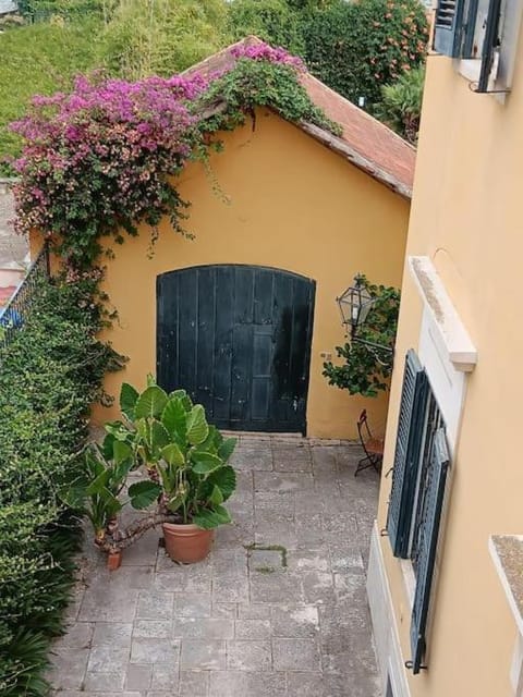 Garden, Garden view, Inner courtyard view