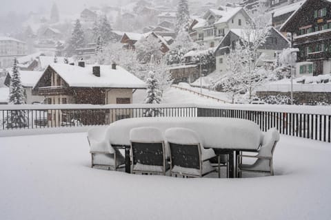 Winter, Skiing, Balcony/Terrace, Mountain view