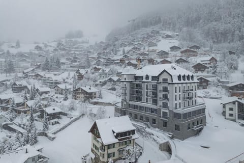 Winter, Skiing, Mountain view