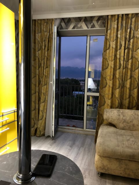 Апартаменты с шикарным видом Condo in Almaty