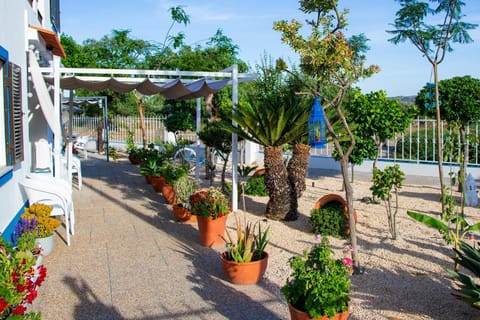 Spring, Day, Garden, Garden view