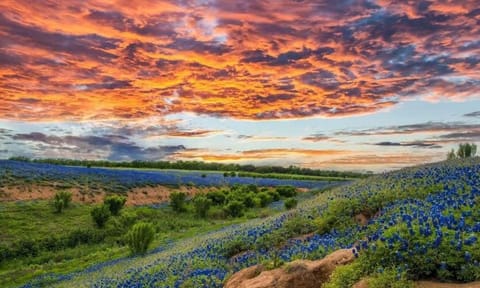2 Kings Hot Tub Modern Cottage Hill Country House in Blanco