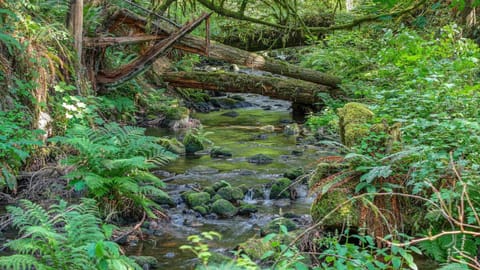 Wandering Woods House in Clackamas County