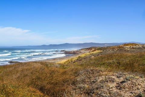 Sea Dream and Sand Dollar Suite House in Mendocino County