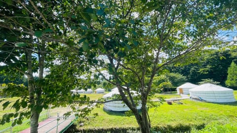 Property building, Day, Natural landscape