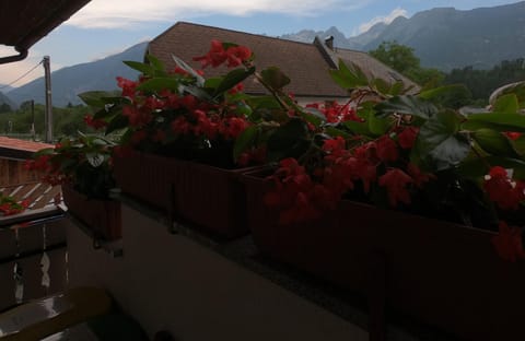 Holiday Home Over The River House in Bovec