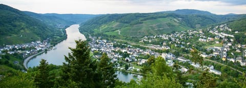 Komfortferienwohnung mit traumhaftem Moselblick Condo in Ediger-Eller