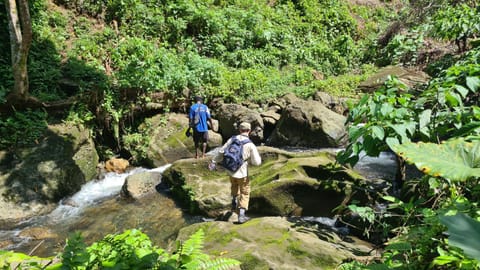 Takapuna Homestay Vacation rental in Papua New Guinea