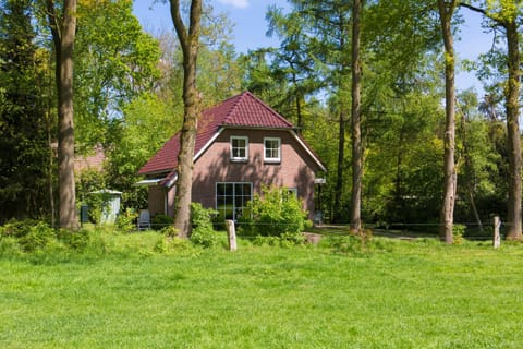 Property building, Spring, Natural landscape, Garden view