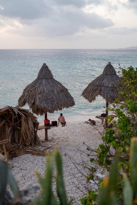 Beach, Guests, Sunset