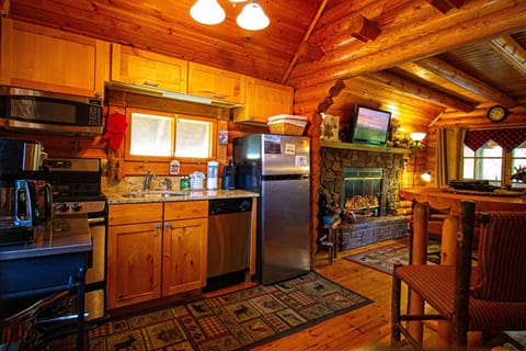 Moose Lodge with Hot Tub House in Sevierville