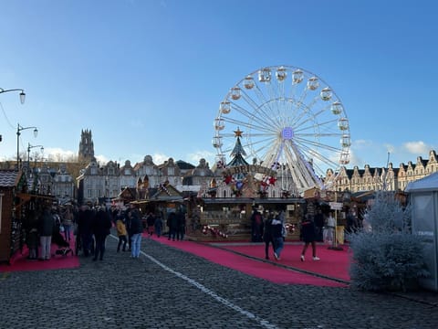 Les coquelicots Grand Place ARRAS Apartment in Arras