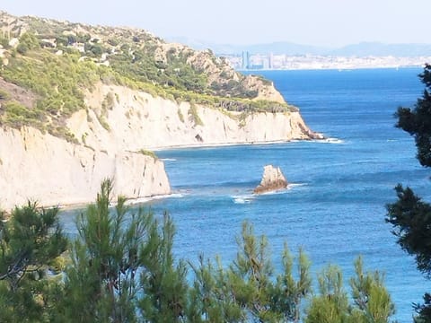 GITE RÉNOVÉ CALANQUES LA VESSE Apartment in Marseille