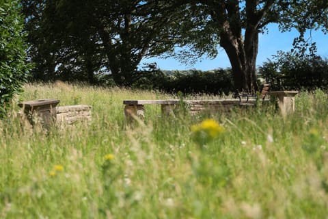 Natural landscape, Garden