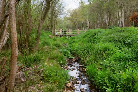 Garden, Garden